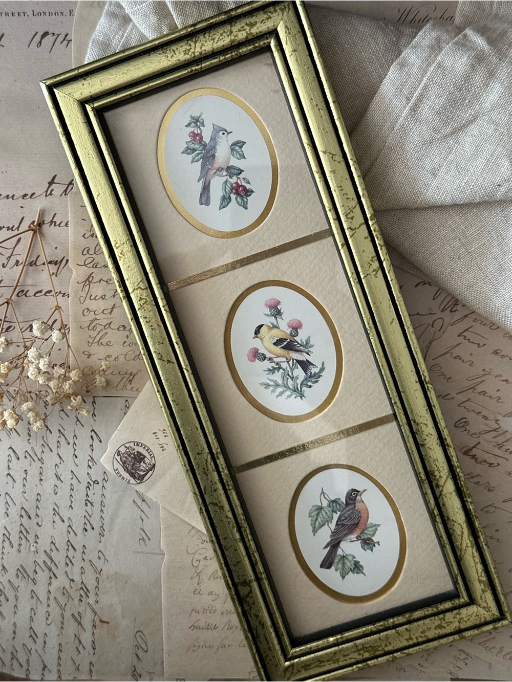 Framed Realistic Bird Art Print Gold Frame Nature Animal Decor